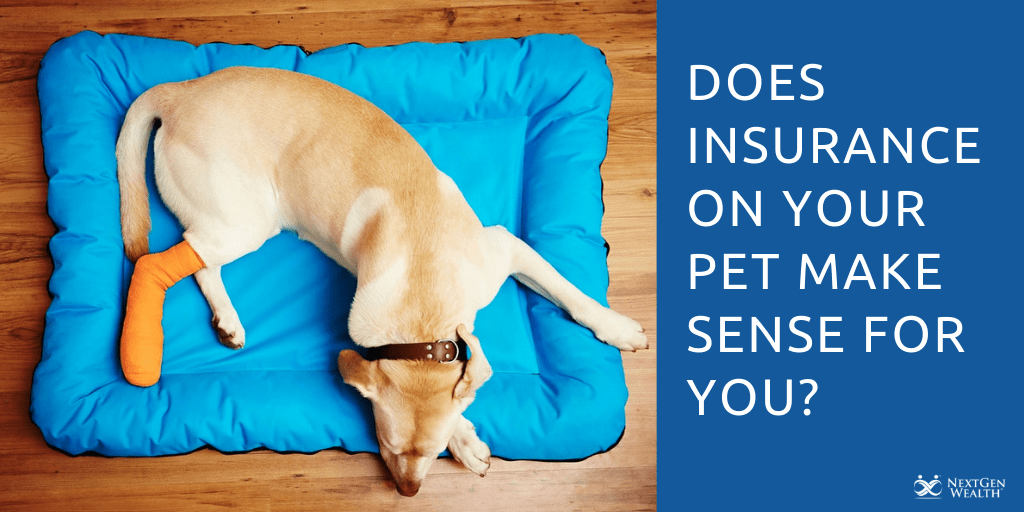Does Insurance on Your Pet Make Sense for You