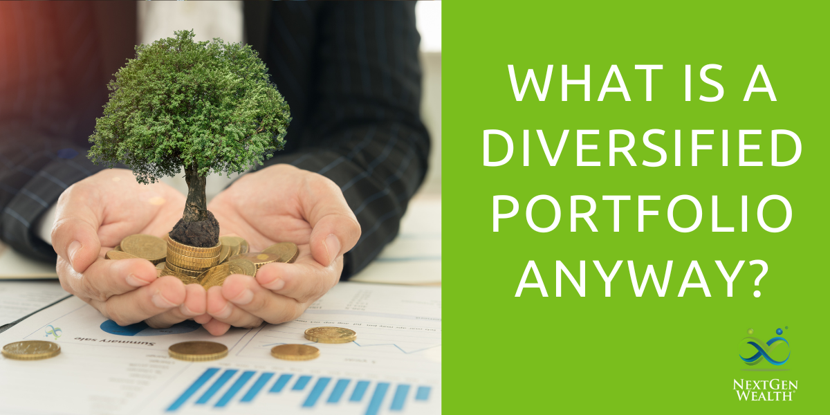 What is a Diversified Portfolio Anyway