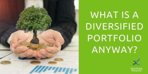 What is a Diversified Portfolio Anyway?